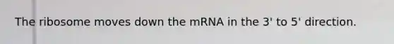 The ribosome moves down the mRNA in the 3' to 5' direction.