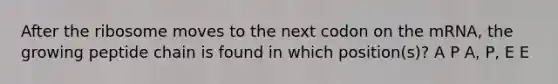 After the ribosome moves to the next codon on the mRNA, the growing peptide chain is found in which position(s)? A P A, P, E E