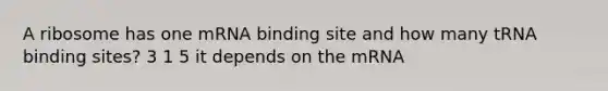 A ribosome has one mRNA binding site and how many tRNA binding sites? 3 1 5 it depends on the mRNA