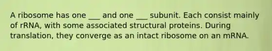 A ribosome has one ___ and one ___ subunit. Each consist mainly of rRNA, with some associated structural proteins. During translation, they converge as an intact ribosome on an mRNA.