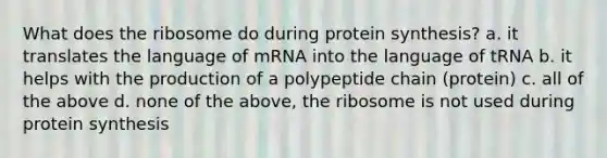 What does the ribosome do during <a href='https://www.questionai.com/knowledge/kVyphSdCnD-protein-synthesis' class='anchor-knowledge'>protein synthesis</a>? a. it translates the language of mRNA into the language of tRNA b. it helps with the production of a polypeptide chain (protein) c. all of the above d. none of the above, the ribosome is not used during protein synthesis