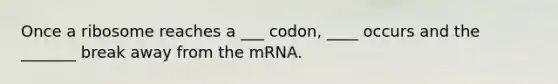 Once a ribosome reaches a ___ codon, ____ occurs and the _______ break away from the mRNA.