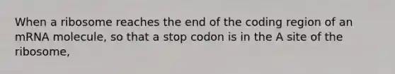 When a ribosome reaches the end of the coding region of an mRNA molecule, so that a stop codon is in the A site of the ribosome,