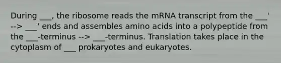 During ___, the ribosome reads the mRNA transcript from the ___' --> ___' ends and assembles amino acids into a polypeptide from the ___-terminus --> ___-terminus. Translation takes place in the cytoplasm of ___ prokaryotes and eukaryotes.