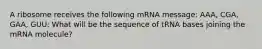 A ribosome receives the following mRNA message: AAA, CGA, GAA, GUU: What will be the sequence of tRNA bases joining the mRNA molecule?