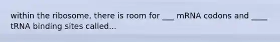within the ribosome, there is room for ___ mRNA codons and ____ tRNA binding sites called...