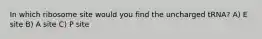In which ribosome site would you find the uncharged tRNA? A) E site B) A site C) P site