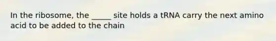 In the ribosome, the _____ site holds a tRNA carry the next amino acid to be added to the chain