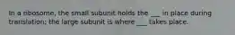 In a ribosome, the small subunit holds the ___ in place during translation; the large subunit is where ___ takes place.