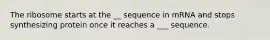 The ribosome starts at the __ sequence in mRNA and stops synthesizing protein once it reaches a ___ sequence.