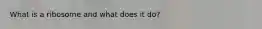 What is a ribosome and what does it do?