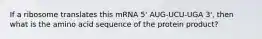 If a ribosome translates this mRNA 5' AUG-UCU-UGA 3', then what is the amino acid sequence of the protein product?