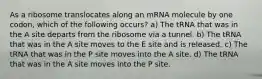 As a ribosome translocates along an mRNA molecule by one codon, which of the following occurs? a) The tRNA that was in the A site departs from the ribosome via a tunnel. b) The tRNA that was in the A site moves to the E site and is released. c) The tRNA that was in the P site moves into the A site. d) The tRNA that was in the A site moves into the P site.