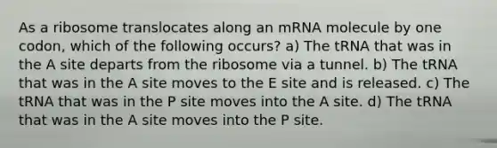 As a ribosome translocates along an mRNA molecule by one codon, which of the following occurs? a) The tRNA that was in the A site departs from the ribosome via a tunnel. b) The tRNA that was in the A site moves to the E site and is released. c) The tRNA that was in the P site moves into the A site. d) The tRNA that was in the A site moves into the P site.