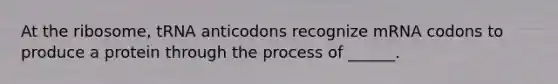 At the ribosome, tRNA anticodons recognize mRNA codons to produce a protein through the process of ______.