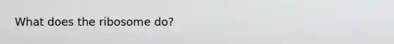 What does the ribosome do?