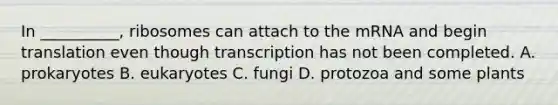 In __________, ribosomes can attach to the mRNA and begin translation even though transcription has not been completed. A. prokaryotes B. eukaryotes C. fungi D. protozoa and some plants