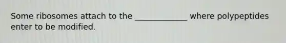 Some ribosomes attach to the _____________ where polypeptides enter to be modified.