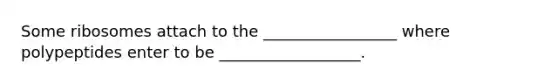 Some ribosomes attach to the _________________ where polypeptides enter to be __________________.