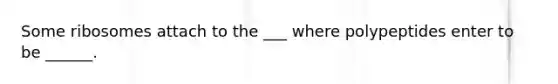 Some ribosomes attach to the ___ where polypeptides enter to be ______.