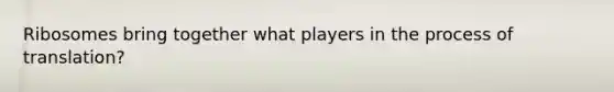 Ribosomes bring together what players in the process of translation?