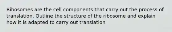 Ribosomes are the cell components that carry out the process of translation. Outline the structure of the ribosome and explain how it is adapted to carry out translation