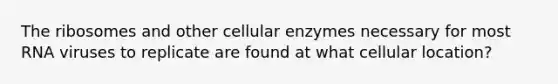 The ribosomes and other cellular enzymes necessary for most RNA viruses to replicate are found at what cellular location?