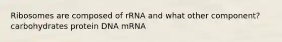 Ribosomes are composed of rRNA and what other component? carbohydrates protein DNA mRNA