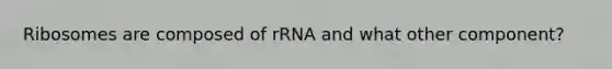 Ribosomes are composed of rRNA and what other component?