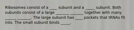 Ribosomes consist of a ____ subunit and a _____ subunit. Both subunits consist of a large _______ _______ together with many ______ _______. The large subunit has ____ pockets that tRNAs fit into. The small subunit binds _____.