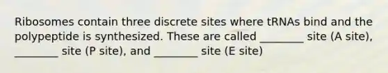 Ribosomes contain three discrete sites where tRNAs bind and the polypeptide is synthesized. These are called ________ site (A site), ________ site (P site), and ________ site (E site)