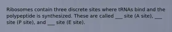 Ribosomes contain three discrete sites where tRNAs bind and the polypeptide is synthesized. These are called ___ site (A site), ___ site (P site), and ___ site (E site).