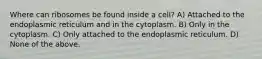 Where can ribosomes be found inside a cell? A) Attached to the endoplasmic reticulum and in the cytoplasm. B) Only in the cytoplasm. C) Only attached to the endoplasmic reticulum. D) None of the above.