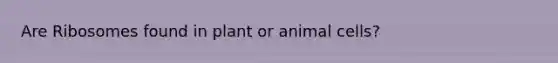 Are Ribosomes found in plant or animal cells?