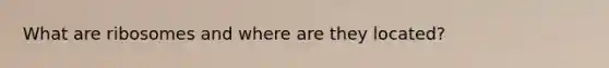 What are ribosomes and where are they located?