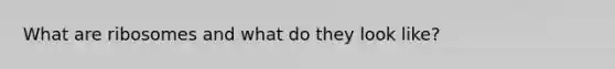 What are ribosomes and what do they look like?