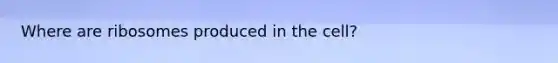 Where are ribosomes produced in the cell?