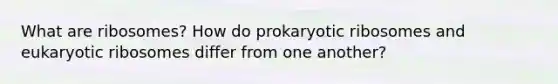 What are ribosomes? How do prokaryotic ribosomes and eukaryotic ribosomes differ from one another?