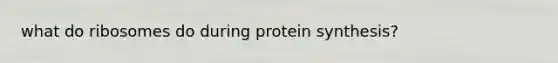 what do ribosomes do during protein synthesis?