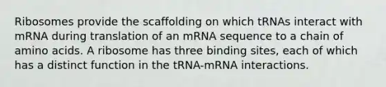 Ribosomes provide the scaffolding on which tRNAs interact with mRNA during translation of an mRNA sequence to a chain of amino acids. A ribosome has three binding sites, each of which has a distinct function in the tRNA-mRNA interactions.