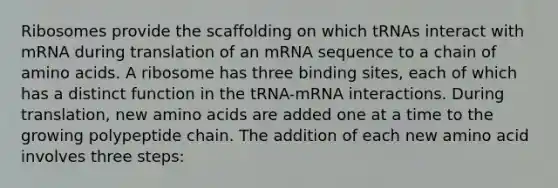 Ribosomes provide the scaffolding on which tRNAs interact with mRNA during translation of an mRNA sequence to a chain of <a href='https://www.questionai.com/knowledge/k9gb720LCl-amino-acids' class='anchor-knowledge'>amino acids</a>. A ribosome has three binding sites, each of which has a distinct function in the tRNA-mRNA interactions. During translation, new amino acids are added one at a time to the growing polypeptide chain. The addition of each new amino acid involves three steps: