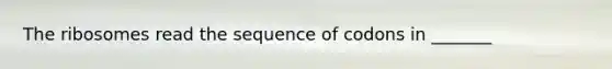 The ribosomes read the sequence of codons in _______