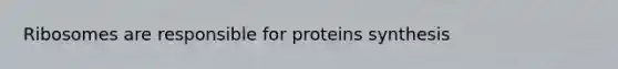 Ribosomes are responsible for proteins synthesis