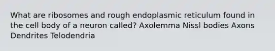 What are ribosomes and rough endoplasmic reticulum found in the cell body of a neuron called? Axolemma Nissl bodies Axons Dendrites Telodendria