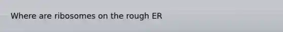 Where are ribosomes on the rough ER