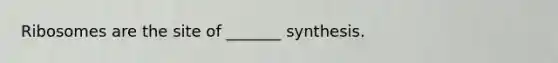 Ribosomes are the site of _______ synthesis.