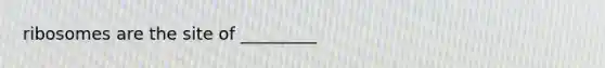 ribosomes are the site of _________