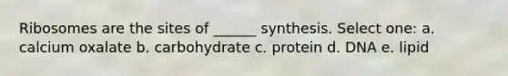 Ribosomes are the sites of ______ synthesis. Select one: a. calcium oxalate b. carbohydrate c. protein d. DNA e. lipid