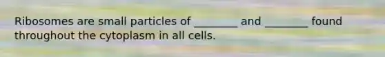 Ribosomes are small particles of ________ and ________ found throughout the cytoplasm in all cells.