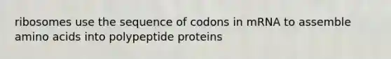 ribosomes use the sequence of codons in mRNA to assemble <a href='https://www.questionai.com/knowledge/k9gb720LCl-amino-acids' class='anchor-knowledge'>amino acids</a> into polypeptide proteins